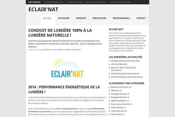 Point theme site design template sample