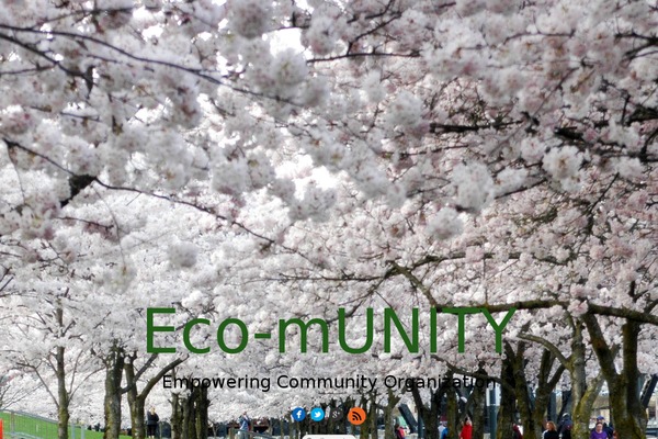 Parallax theme site design template sample