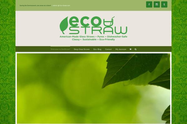 Avada theme site design template sample