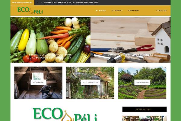 Neve-child-master theme site design template sample