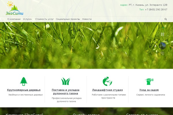 dt-the7_v.3.0.0 theme websites examples