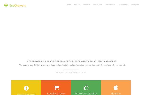 Roneous theme site design template sample