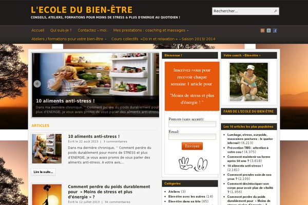 Arras WP theme theme site design template sample