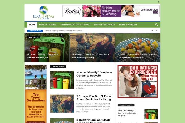 Newsmag Child theme site design template sample