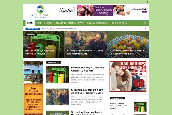 Newsmag Child theme site design template sample