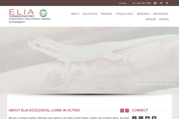 Charitas theme site design template sample