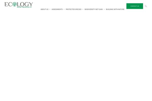 Allston theme site design template sample