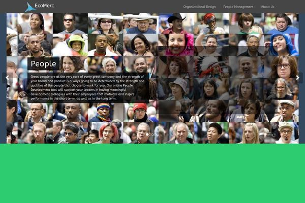 Flat Theme theme site design template sample