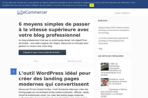 Focusblog theme site design template sample