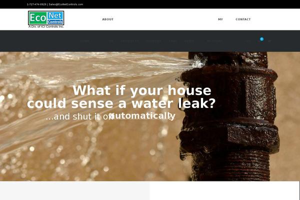 Site using Another MailChimp Widget plugin