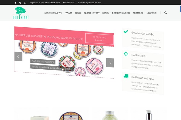 Salient theme site design template sample