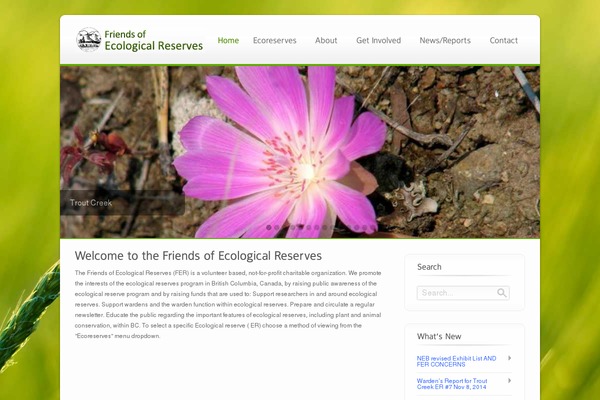 Ecobiz theme site design template sample