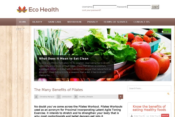 Megamag theme site design template sample
