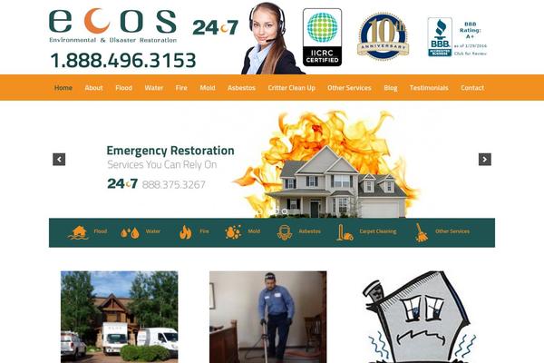 Site using Easy Social Icons plugin