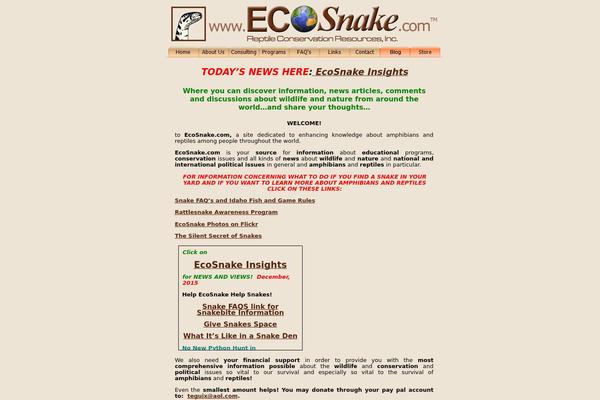 Classic theme site design template sample
