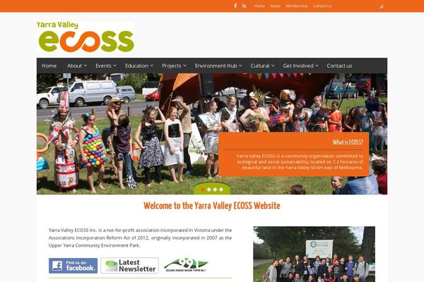Site using Embed Facebook plugin
