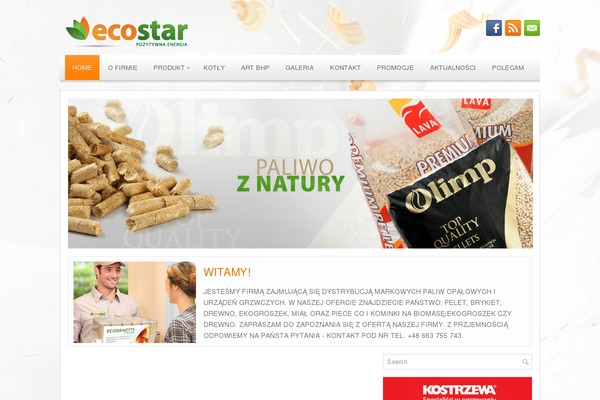 Pressbiz theme site design template sample