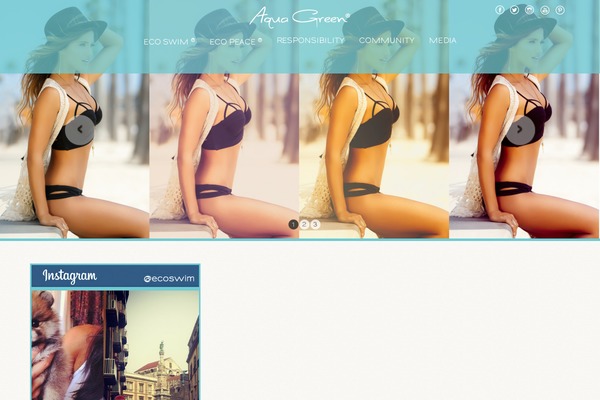 Site using Bannerspace Slideshow plugin