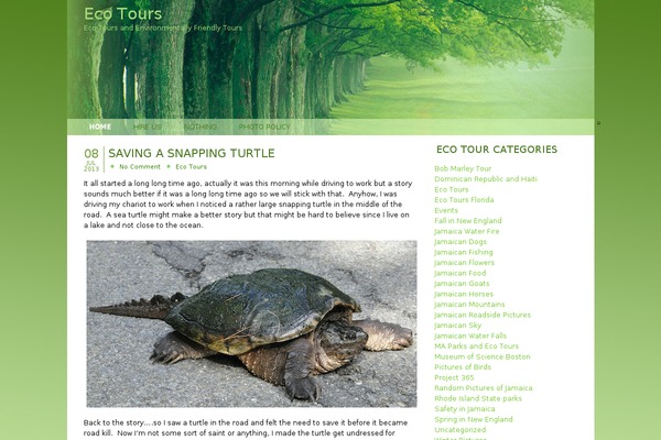 Nature theme site design template sample