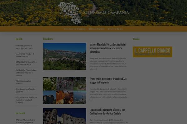 Avada theme site design template sample