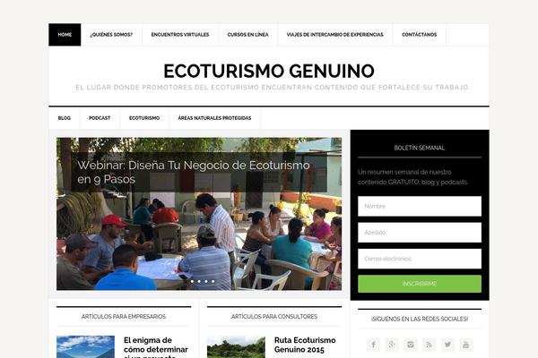 News Pro theme site design template sample