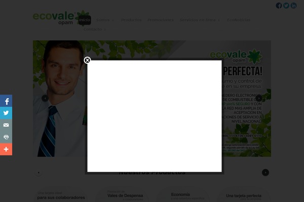 theme1531 theme websites examples