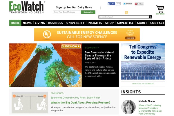 Site using 3S-CTA-Widgets plugin