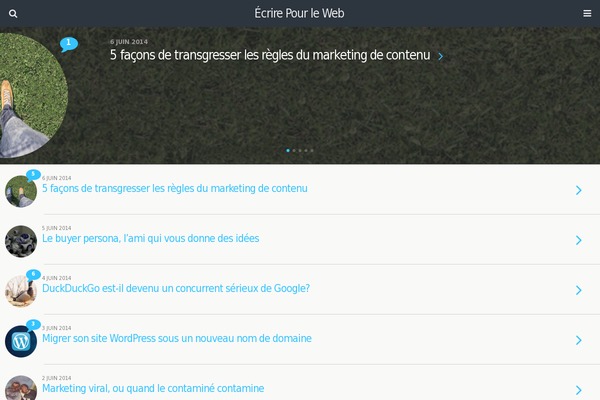 eMag theme websites examples