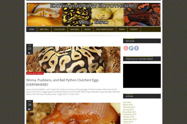 View:r theme site design template sample