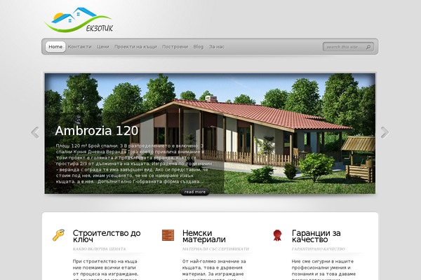 TheProfessional theme site design template sample