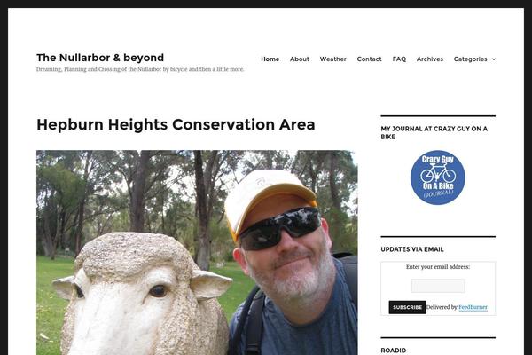 Simple Catch theme site design template sample