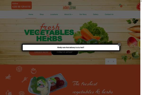 Domnoo theme site design template sample