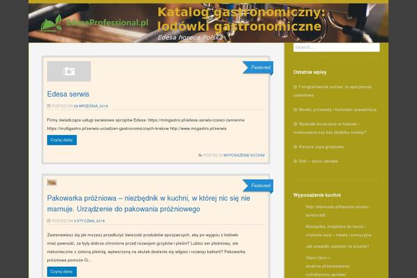 Zoom Lite theme site design template sample