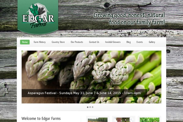 Limon theme site design template sample