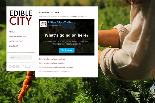 Flashlight theme site design template sample