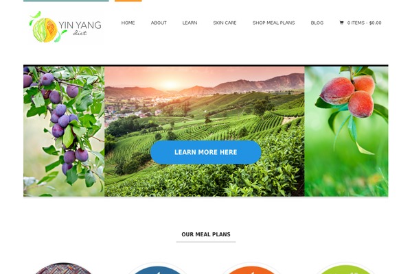 Hustle theme site design template sample