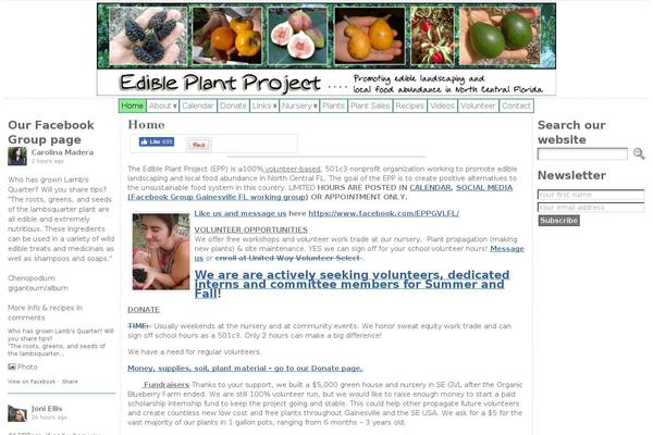 Site using Simple Social Expandable plugin