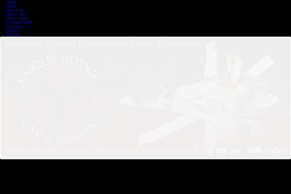 Site using Wd-facebook-feed plugin