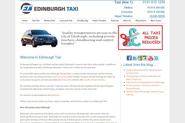 MiniBuzz theme site design template sample
