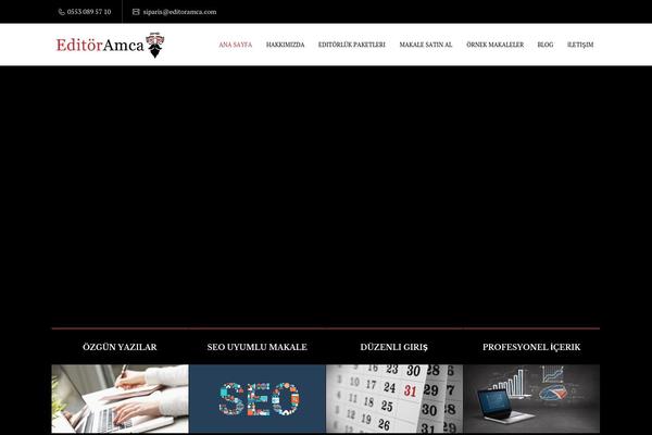 VEDA theme site design template sample