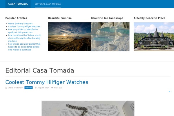 Bushwick theme site design template sample