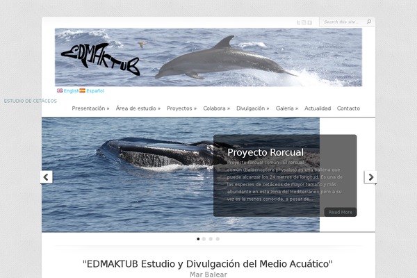 Chameleon theme site design template sample