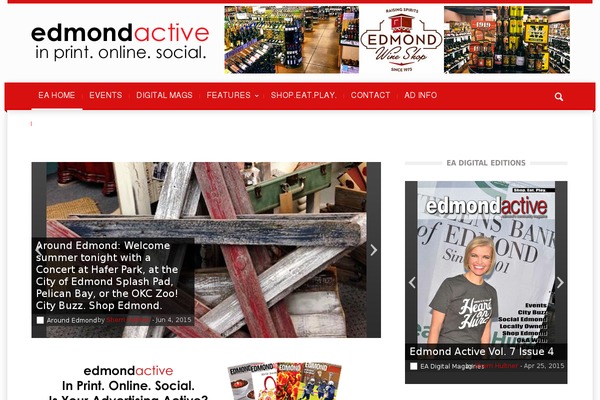 Magazin theme site design template sample