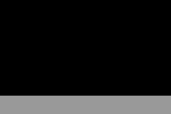 edprojects.ch site used Nonus