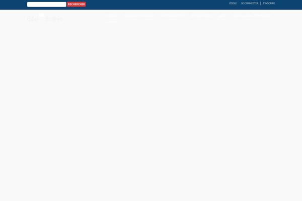 Site using Gravityforms-master plugin