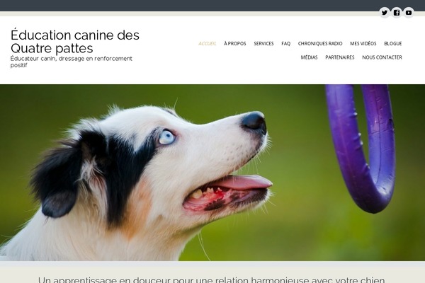 Circumference Lite theme site design template sample