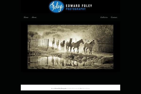 Prophoto4 theme site design template sample