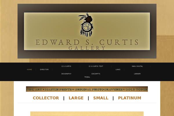 Fashion theme site design template sample