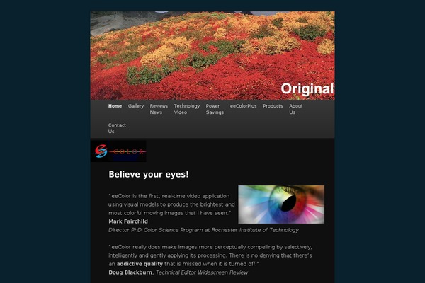 Color theme site design template sample