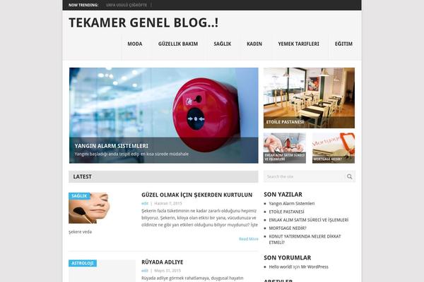 Point theme site design template sample